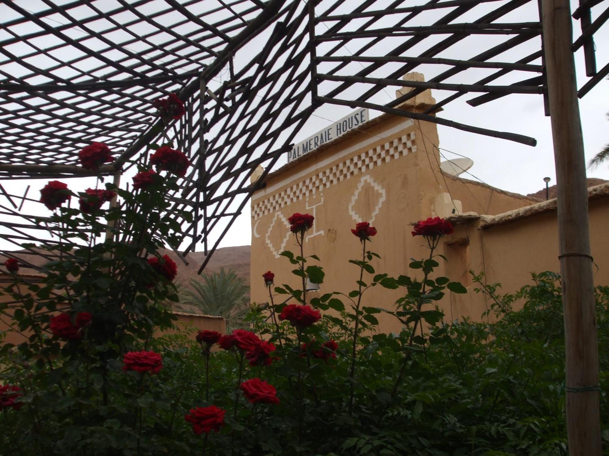 Palmeraie Guest House Tinghir Kültér fotó