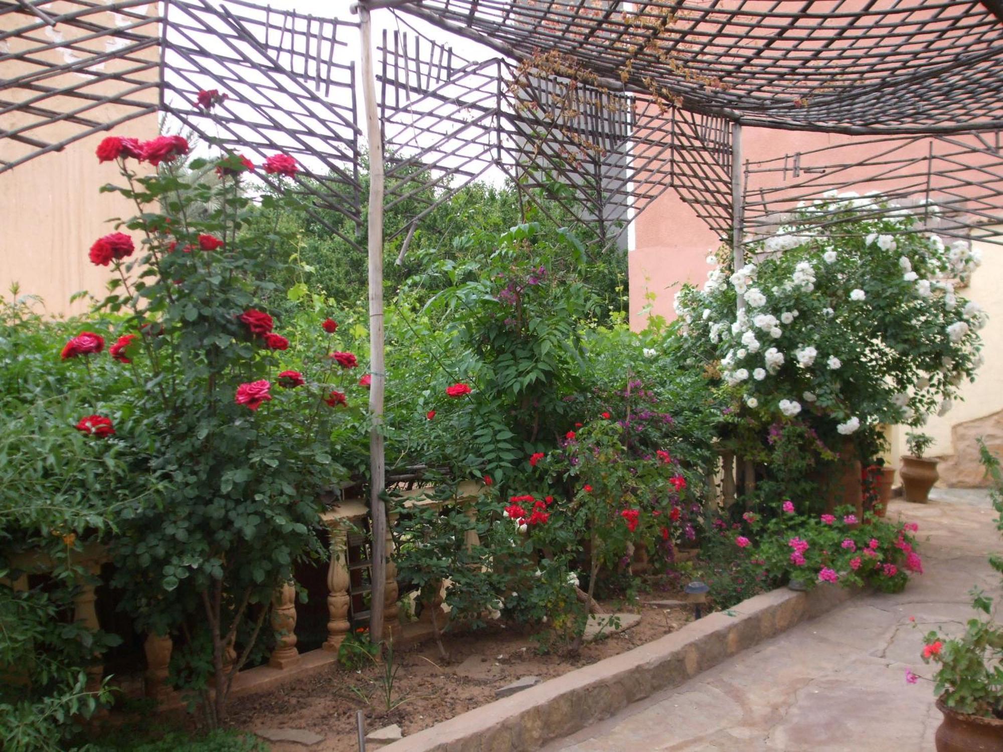 Palmeraie Guest House Tinghir Kültér fotó